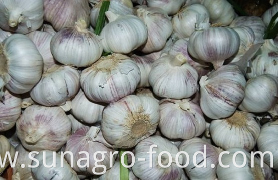 Lots of garlic